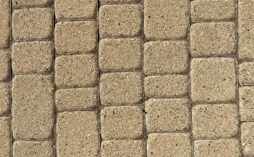 pexels-jill-burrow-7677985